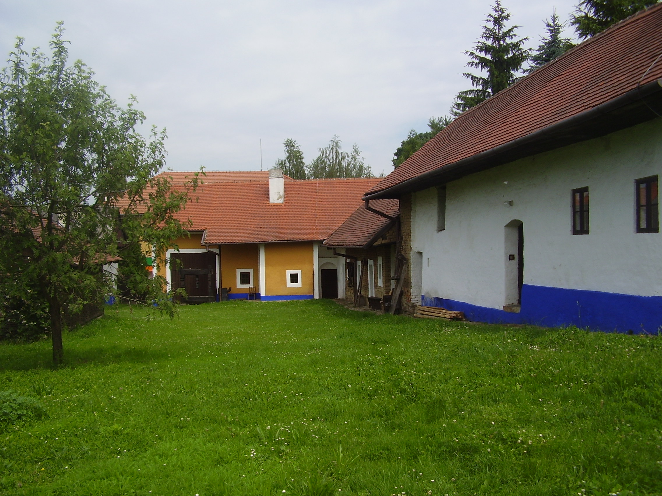 P6171343.JPG